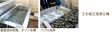 文山三七人参の研究所