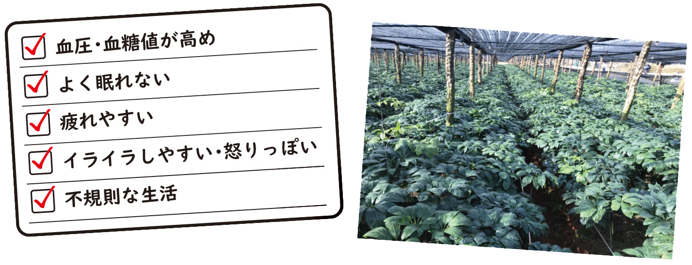 リスト