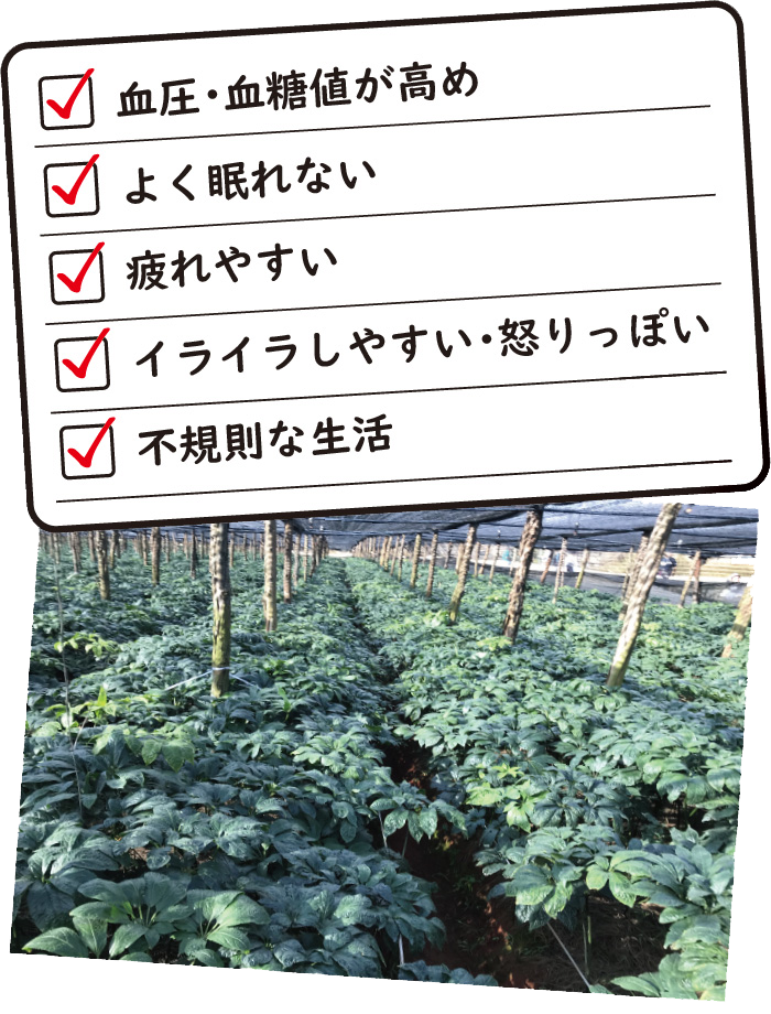 リスト